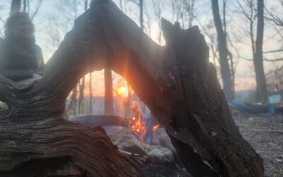 BMT Day 16 (Stealth Camper)