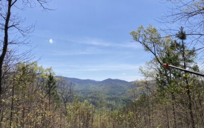 BMT Day 12 (Stealth Camp)