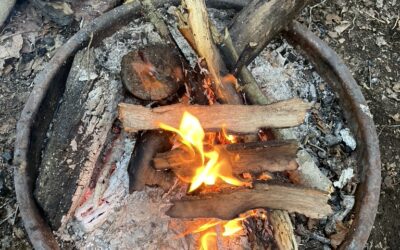 BMT Day 8 (Food Rations)