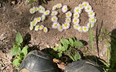 BMT Day 19 (Thunder Rock)